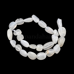 Natural White Moonstone Beads Strands&nbsp;G-P601-A18-02