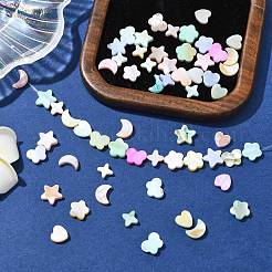 60Pcs 6 Styles Macaron Color Natural Shell Dyed Beads&nbsp;BSHE-CJ0001-13