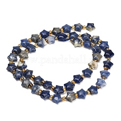 Natural Sodalite Beads Strands&nbsp;G-Z080-A28-8mm