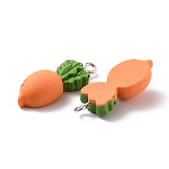 Resin Pendants&nbsp;X-RESI-C002-31
