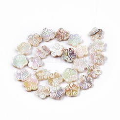 Electroplated Natural Freshwater Shell Beads Strands&nbsp;SHEL-N026-203A-01