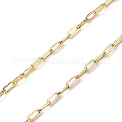 Eyeglasses Chains&nbsp;AJEW-EH00225