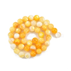 Natural Golden Yellow Shell Beads Strands&nbsp;SSHEL-G024-01D