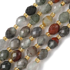 Natural Bloodstone/Heliotrope Stone Beads Strands&nbsp;G-F809-A13-01