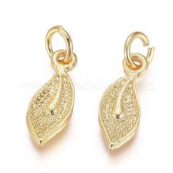 Electroplated Alloy Charms&nbsp;PALLOY-G267-14G