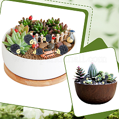40Pcs 2 Styles Resin Hedgehog Display Decoration&nbsp;DJEW-SP0001-42