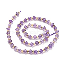 Natural Amethyst Beads Strands&nbsp;G-P463-40