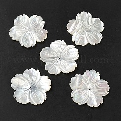 Natural White Shell Beads&nbsp;SHEL-M021-08B