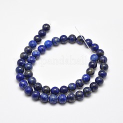 Natural Lapis Lazuli Round Bead Strands&nbsp;X-G-E262-01-8mm
