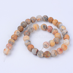 Natural Crazy Lace Agate Beads Strands&nbsp;G-Q462-10mm-12