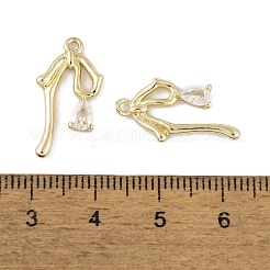 Brass Micro Pave Clear Cubic Zirconia Pendants&nbsp;LS-KK-L212-06G
