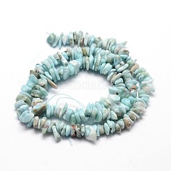 Natural Larimar Chip Beads Strands&nbsp;X-G-E271-77