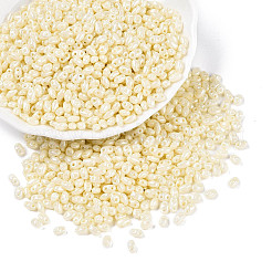 Opaque Colours Luster Glass Seed Beads&nbsp;SEED-T006-02K