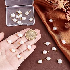 24Pcs Natural Cultured Freshwater Pearl Pendants&nbsp;PALLOY-PH01726