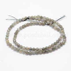 Natural Labradorite Beads Strands&nbsp;G-P322-30-4mm