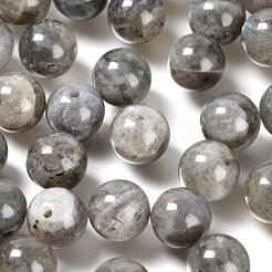 100Pcs 8mm Grade AA Natural  Labradorite Round Beads&nbsp;DIY-LS0002-58