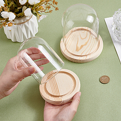 2Pcs 2 Styles Glass Dome Cover&nbsp;AJEW-NB0007-93