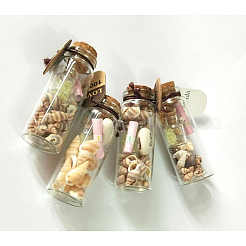 Glass Wishing Bottles&nbsp;DJEW-J001-04