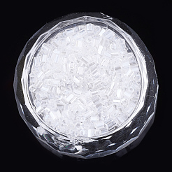 Two Cut Glass Seed Beads&nbsp;SEED-S018-11B