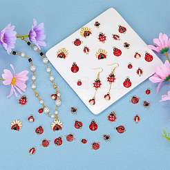 DIY Ladybug Jewelry Making Finding Kit&nbsp;FIND-SZ0003-45
