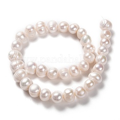 Natural Cultured Freshwater Pearl Beads Strands&nbsp;PEAR-L033-94-01