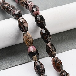 Natural Rhodonite Beads Strands&nbsp;G-P520-C22-01
