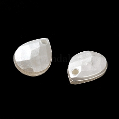 ABS Acrylic Pendants&nbsp;OACR-Z016-02