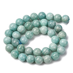 Natural Amazonite Beads Strands&nbsp;G-K068-03-10mmA