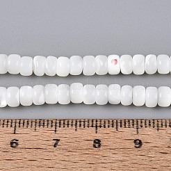 Natural Trochid Shell/Trochus Shell Beads Strands&nbsp;BSHE-T014-54A