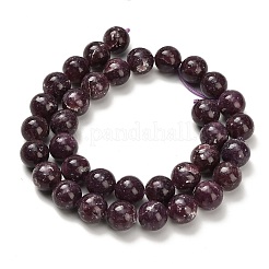 Natural Lepidolite/Purple Mica Stone Beads Strands&nbsp;G-H335-B03-12mm-A