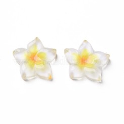 Transparent Epoxy Resin Cabochons&nbsp;X-CRES-S365-23A