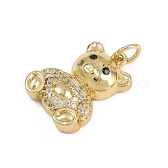 Brass Micro Pave Cubic Zirconia Pendants&nbsp;KK-D409-45G-B