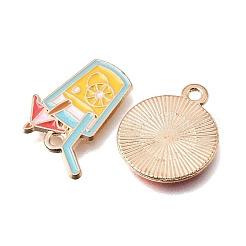 40 Styles Summer Alloy Enamel Pendants&nbsp;PALLOY-T097-01M