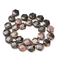 Natural Rhodonite Beads Strands&nbsp;G-L660-A01-01