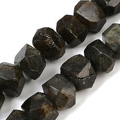 Natural Labradorite Beads Strands&nbsp;G-F796-D05-01