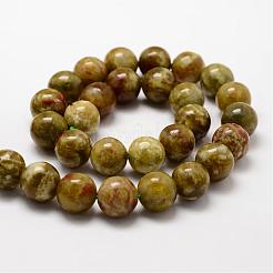 Round Natural Dragon Blood Jasper Beads Strands&nbsp;G-K072-8mm