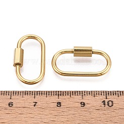 304 Stainless Steel Locking Carabiner&nbsp;STAS-N115-68G