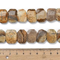 Natural Picture Jasper Beads Strands&nbsp;G-C285-A11-01