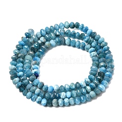 Natural Apatite Beads Strands&nbsp;G-K376-I08-3x4mm