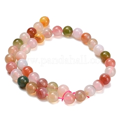Natural Agate Beads Strands&nbsp;G-F814-A02-10mm