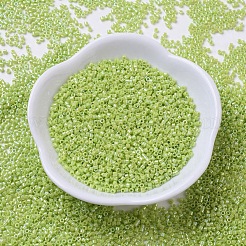 MIYUKI Delica Beads Small&nbsp;X-SEED-J020-DBS0169