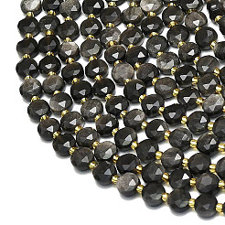 Natural Silver Obsidian Beads Strands&nbsp;G-C116-A55-02