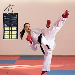 Soft Felt Taekwondo Belt Organizer Display Bags&nbsp;ODIS-WH20009-10A