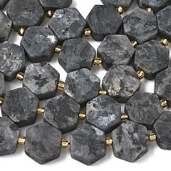 Natural Larvikite Beads Strands&nbsp;G-A291-A02-01
