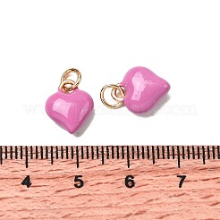 Brass Enamel Charms&nbsp;KK-U027-13-03G