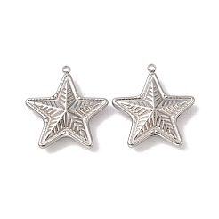 Non-Tarnish 304 Stainless Steel Pendants&nbsp;STAS-C073-03P