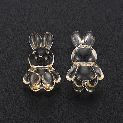 Transparent Acrylic Beads&nbsp;LS-MACR-S373-81-B04