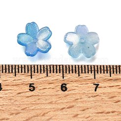 Acrylic Bead Caps&nbsp;OACR-I024-01J