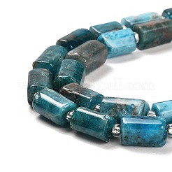 Natural Apatite Beads Strands&nbsp;LS-G-G068-A11-01