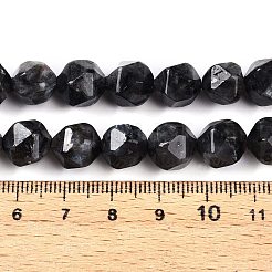 Natural Larvikite Beads Strands&nbsp;G-T141-04A